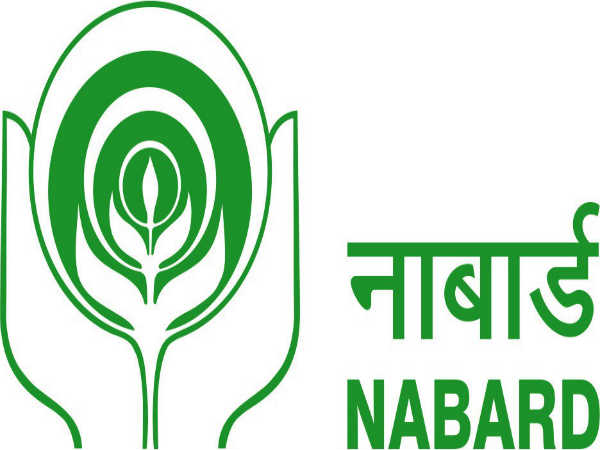 NABARD Grade A Recruitment 2024 out Apply online and check Notification