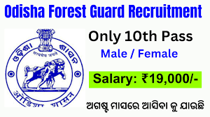 OSSSC Forest Guard Result 2024 Check Category-wise Minimum Qualifying Marks