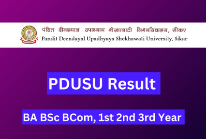 PDUSU Result 2024, Pandit Deendayal Upadhyaya Shekhawati University, Sikar BA BSc BCom Marksheet, shekhauniexam.in