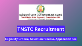 TNSTC Recruitment 2024 Notification Out For 688 Vacancies, Apply Online Now