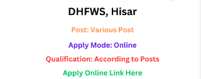 NHM Haryana DHFWS Hisar Recruitment 2024 Notification 